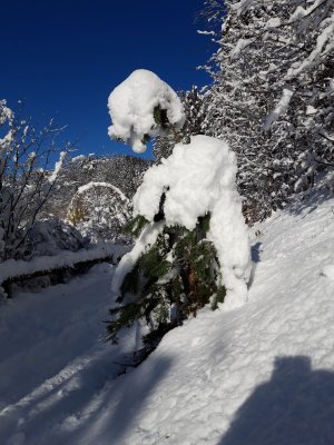 Winterstimmung am Ritten