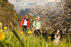 Frühlingserwachen am Ritten -Ferienwohnung Untertrotnerhof