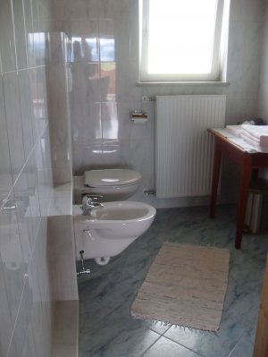 Bad mit Dusche, Bidet und WC und großem Fenster