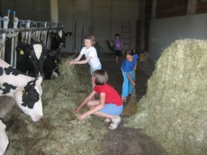 Kinder bei der Stallarbeit
