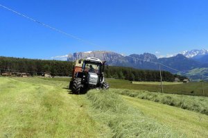 Heuernte am Weberhof