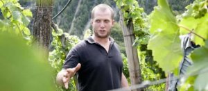 Die Weinbergführung