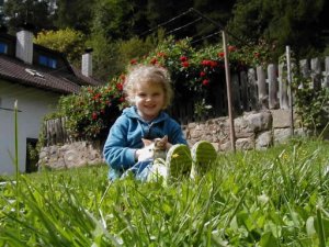 Der Streichelzoo lässt Kinderherzen höher schlagen