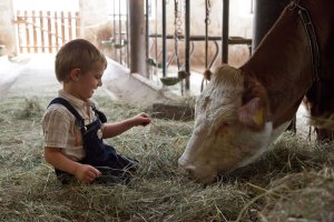In der Ruhe liegt die Kraft