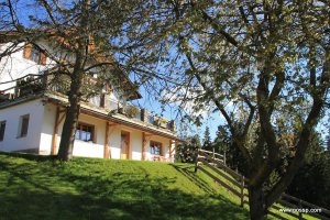 Wohnung Schlern mit Garten