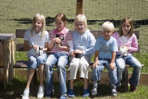 Tiere hautnah erleben