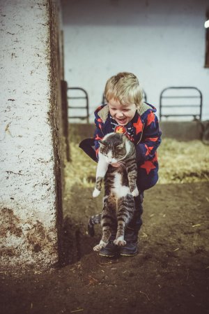 Allergien vermindern sich, wenn gesunde Stallluft eingeatmet wird! das Immunsystem im Körper wird besonders bei Kindern gestärkt-wissenschaftlich bewiesen!